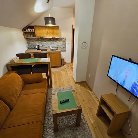 Rapid Apartment