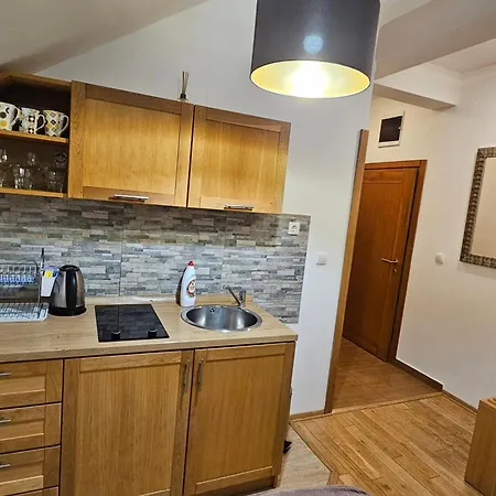 Rapid Apartment
