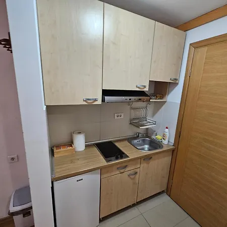 Rapid Apartment